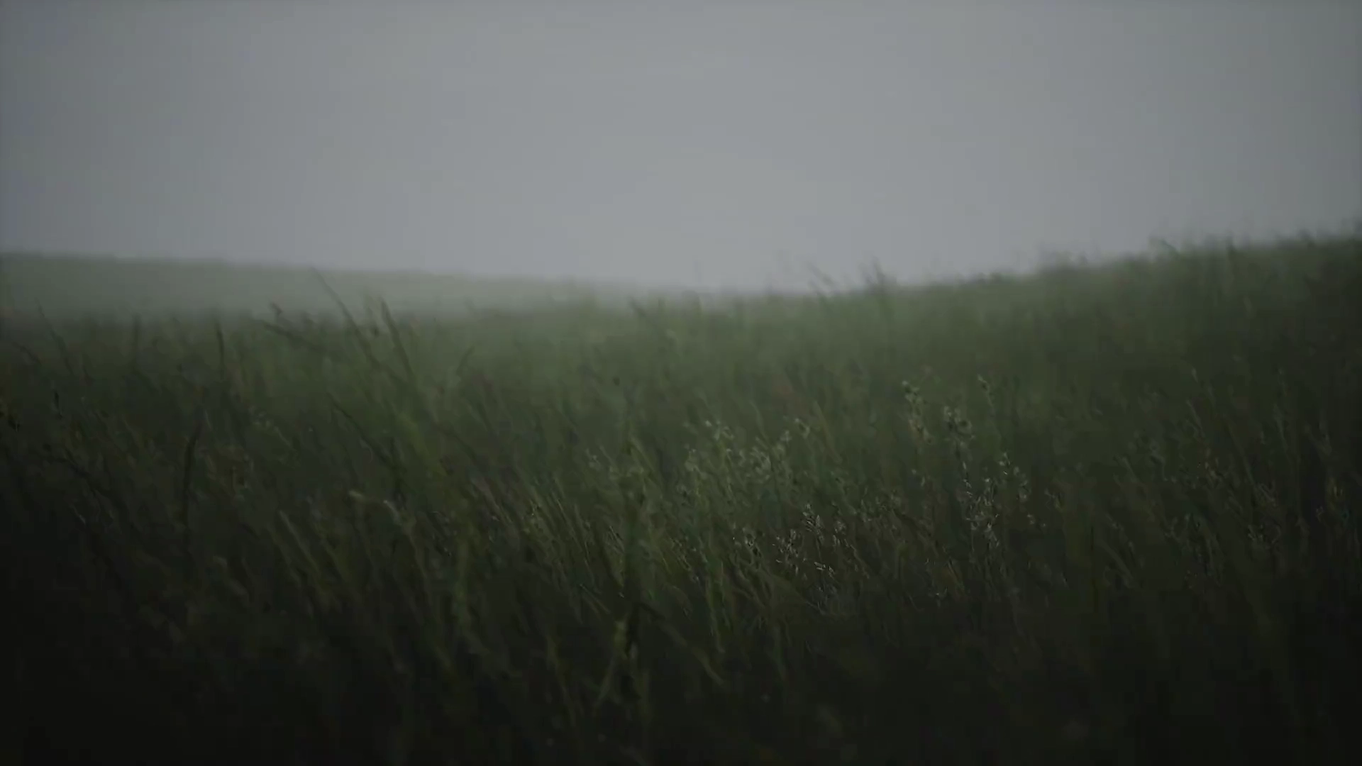 Field Grass Dota 2 mod preview