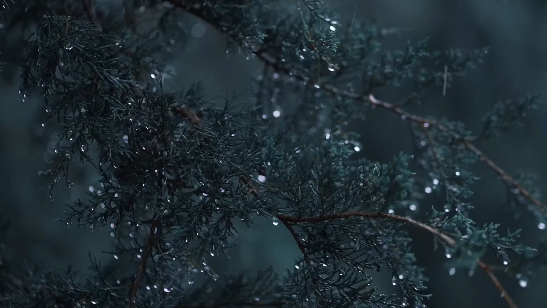 Pine Forest Dota 2 mod preview