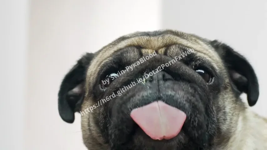 Pug – Dota 2 Backgrounds mod