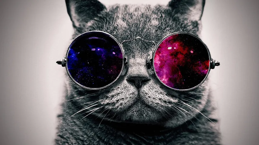 Stylish Cat – Dota 2 Backgrounds mod